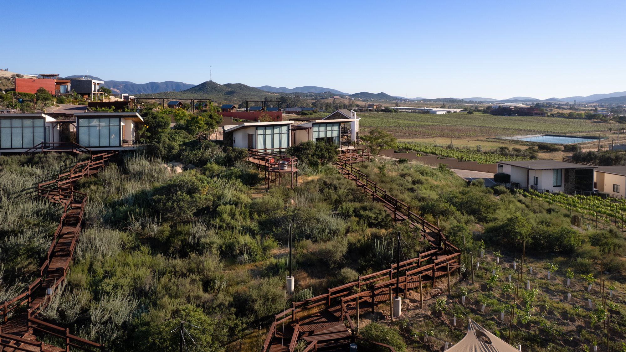 Maridaje de vinos en el Valle de Guadalupe y cocina regional